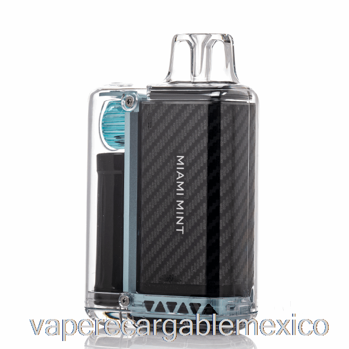 Vaporizador Recargable Vozol Vista 16000 Desechable Miami Mint